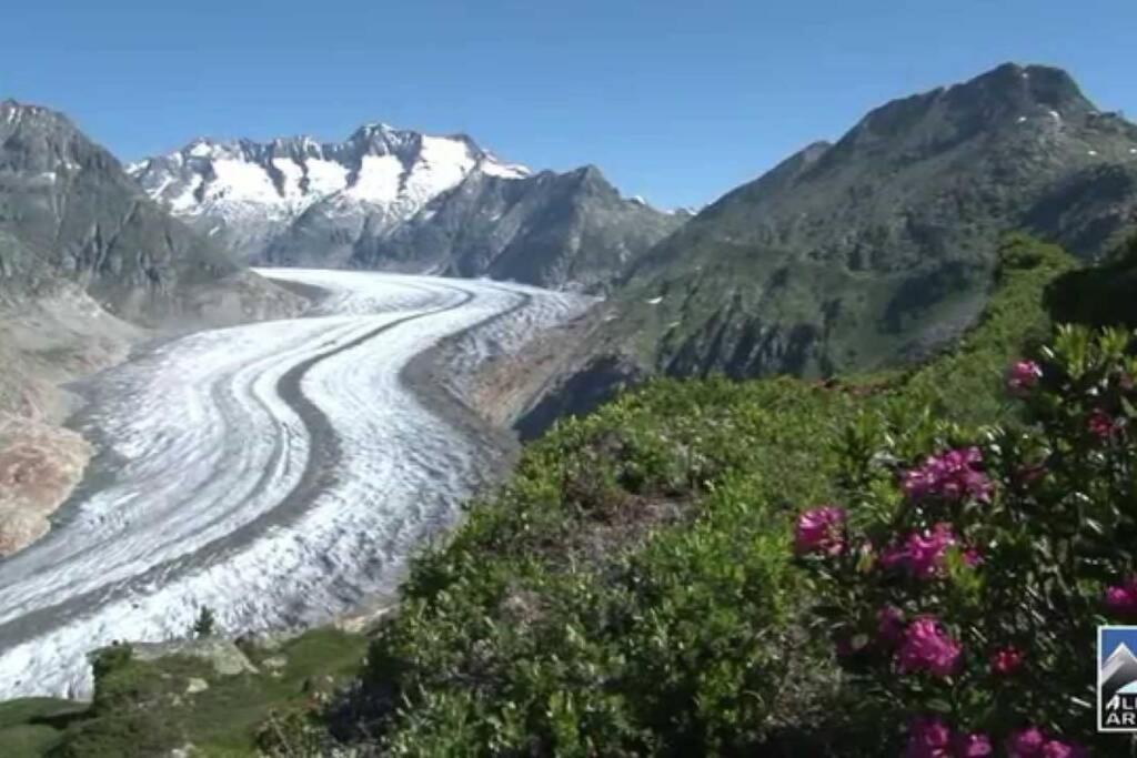 Perle Des Alpes, Bettmeralp, Switzerland Exterior foto